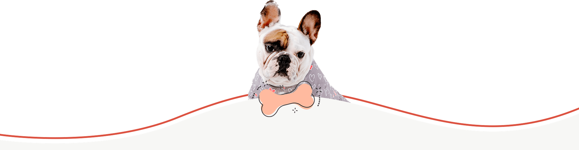 doggie house footer https://pettitohouston.com/wp-content/uploads/2021/12/doggie-house-footer.png